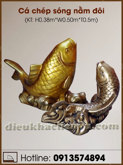 Cá chép sóng nằm đôi